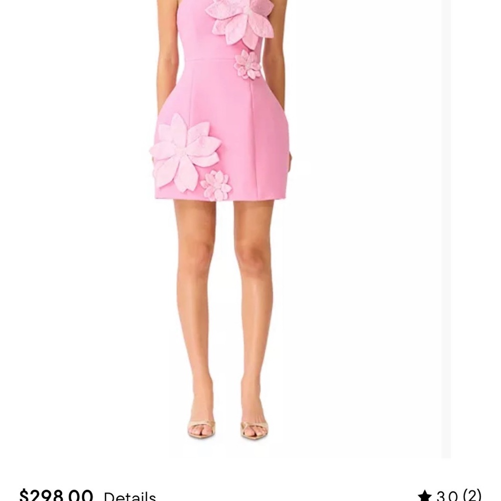 NWT Tova mini dress by Elliatt - Picture 4 of 5
